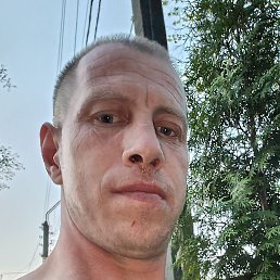 ����, ������, 40 ���