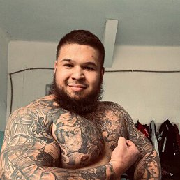 ������, 41 ���, ����