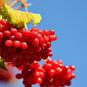 ���� ��������, �������, 52 ���� - ��������� 8 ������� 2023 � ������ ���� �� �������