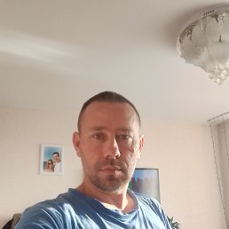 , 41, 