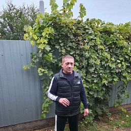 , 50 , 