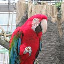  , - -  14  2025      2024...