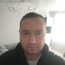 , 43 , 