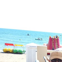 �������, ������, 61 ���