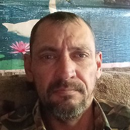 ������� �������, ������, 44 ����