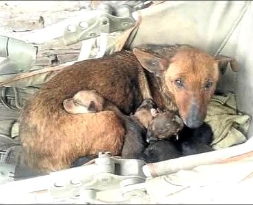   . , ...  ,           ... - 3