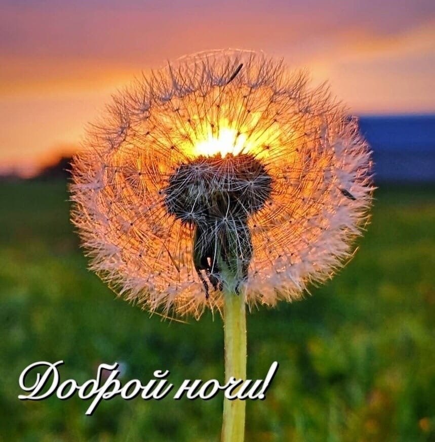   ,    . - 22  2025  21:15
