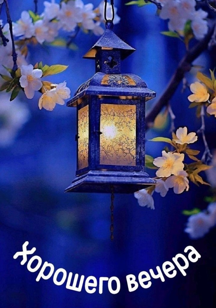   ,    . - 4  2025  20:41 - 4