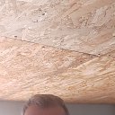 ���� �������, �����������, 54 ���� - ��������� 16 ������� 2025 � ������ ���� ����������