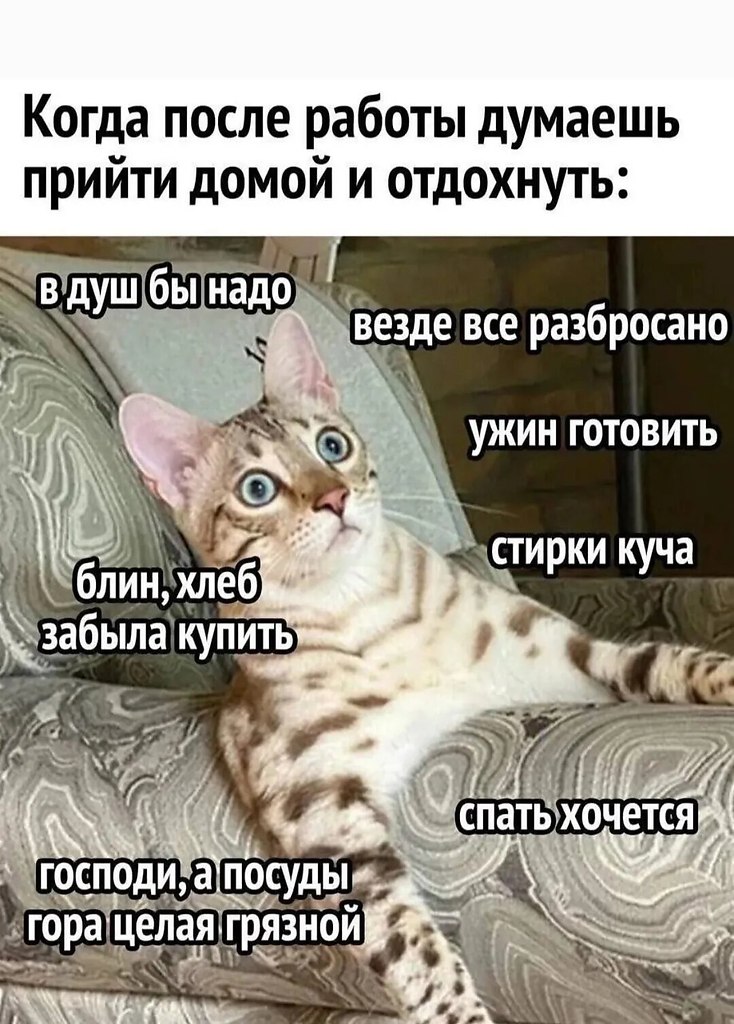 ��� ���� - 16 ����� 2026 � 18:29