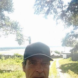 , 48 , 