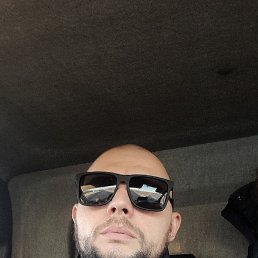 ����, 41 ���, ����