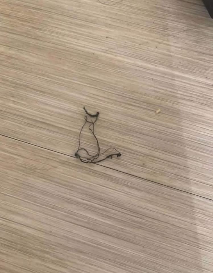 � ���� ����� �����! - 2