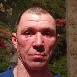 ������, �����������, 44 ����