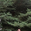 ���� �����, ��������� - ��������� 8 ���� 2025 � ������ ���� ����������