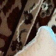 �����, 51 ���, �������