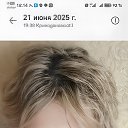 ���� ������, �����������, 52 ���� - ��������� 23 ���� 2025 � ������ ���� ����������