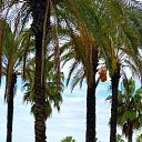 ��������� ���� ����� �� ������� ���� ����������