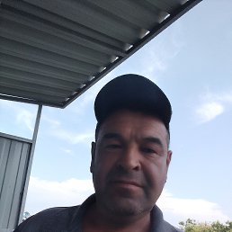 , 56 , 