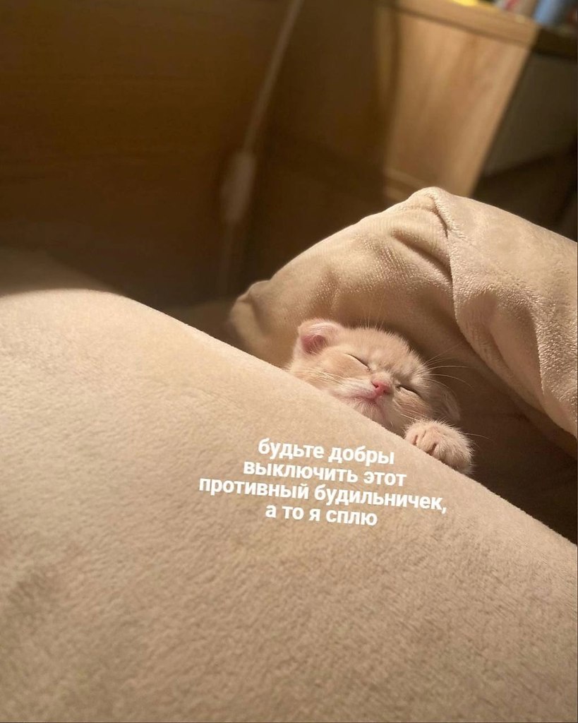   - 24  2023  17:22