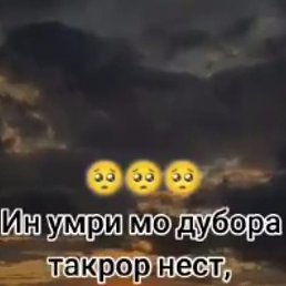 , , 38 