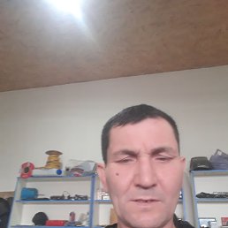 ���� �����, �������, 48 ��� - ��������� 16 ����� 2024