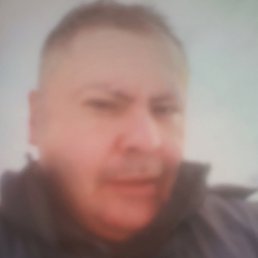 �������, ������, 36 ���