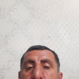 , 42, 