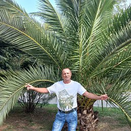 �������, 59 ���, �������