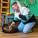 ���� �������, ������, 40 ��� - ��������� 3 ������ 2026 � ������ ���� ����������