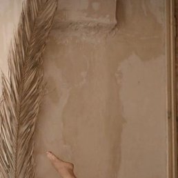 ������, �����������, 45 ���