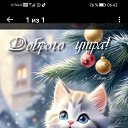  ,  -  11  2025    
