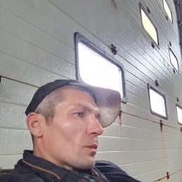 , 37, 