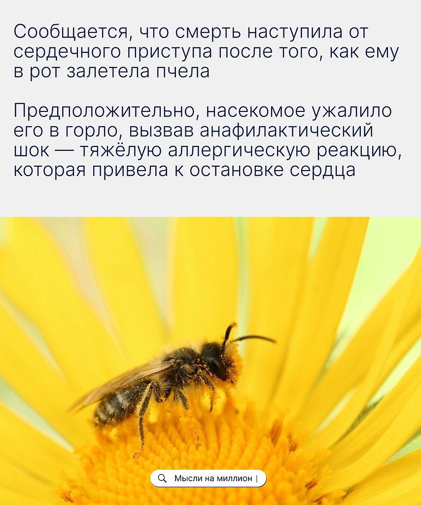         ,       ... - 2