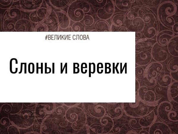 ���������� �������� ��������� � �������. ���? ��� ����������� � �������� ������. �������� ���, ...