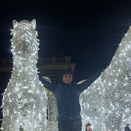 �����, �������, 64 ����