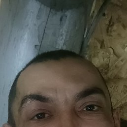 ������, ������, 42 ����