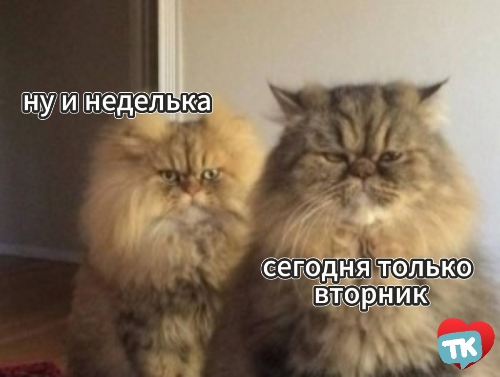   - 22  2025  17:03