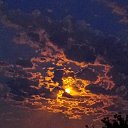 ���� �������, ������, 49 ��� - ��������� 28 ������� 2026 � ������ ������ ��������