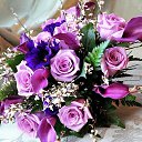 ���� �����, ������ - ��������� 29 ���� 2025 � ������ ������ ��������