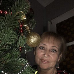 , 65, 