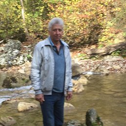 , 61, 