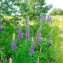 ���� �����, ������, 67 ��� - ��������� 14 ���� 2025 � ������ ���� ����������