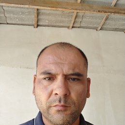, 41, 