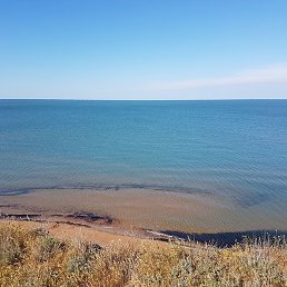 �������, �����, 38 ���