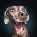 ���� ���-�, �����, 50 ��� - ��������� 24 ������ 2026 � ������ ���� ����������