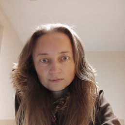 ���� ������, �����, 46 ��� - ��������� 22 ������ 2025
