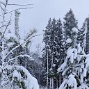 ���� �������, ����������, 20 ��� - ��������� 27 ������ 2026 � ������ ���� ����������