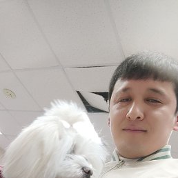 , 31, 