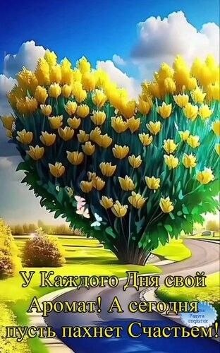 ₪╬═►  ||  ||  ◄═╬₪ - 23  2024  08:05